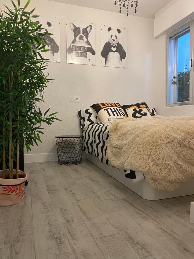 Apartamento Enjoy -la Catedral Ávila